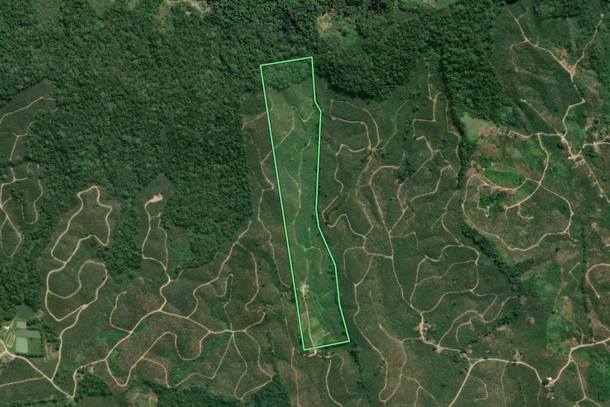 Imagem de satélite do imóvel rural em Eldorado (SP), com o contorno declarado no CAR desenhado por cima.
