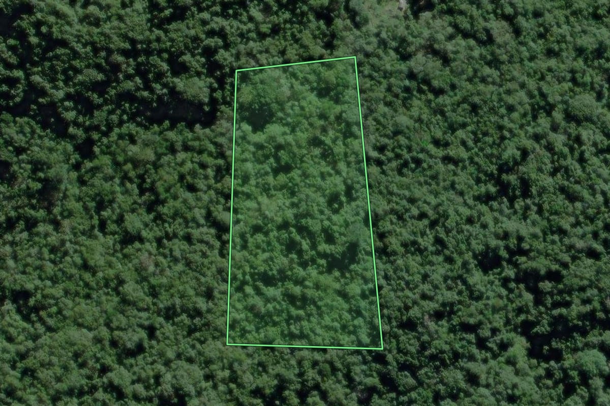 Imagem de satélite do imóvel rural em Eldorado (SP), com o contorno declarado no CAR desenhado por cima.