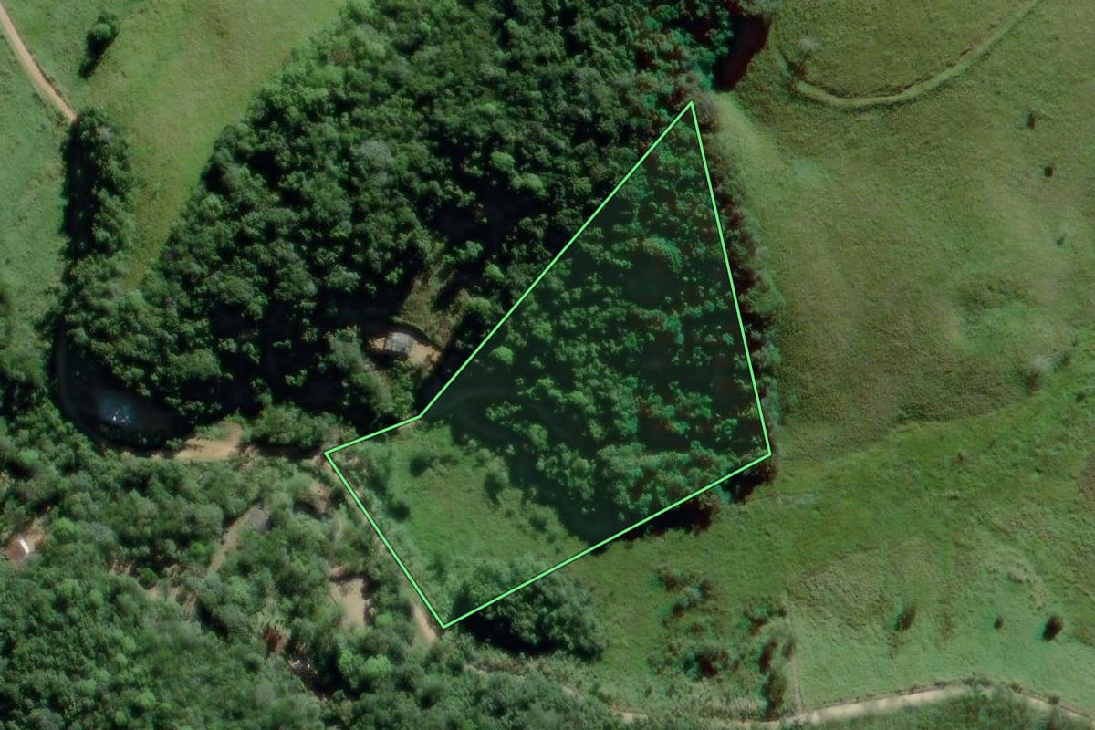 Imagem de satélite do imóvel rural em Eldorado (SP), com o contorno declarado no CAR desenhado por cima.