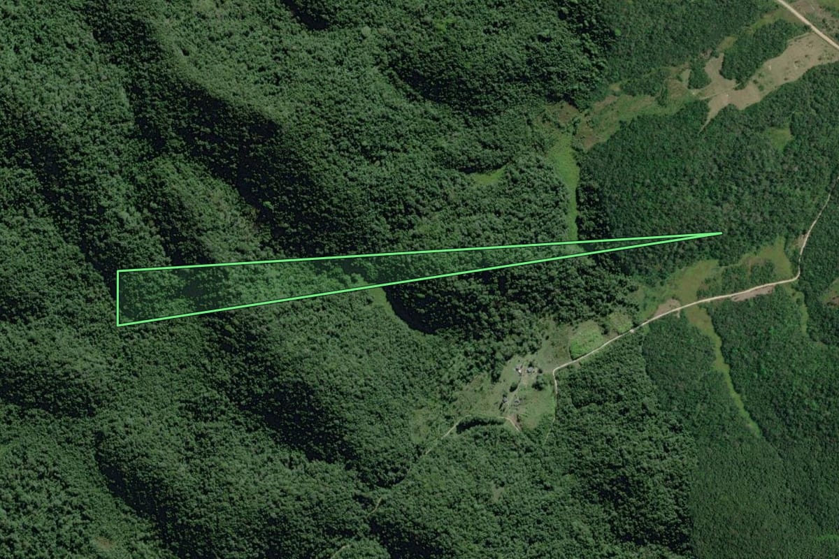Imagem de satélite do imóvel rural em Eldorado (SP), com o contorno declarado no CAR desenhado por cima.