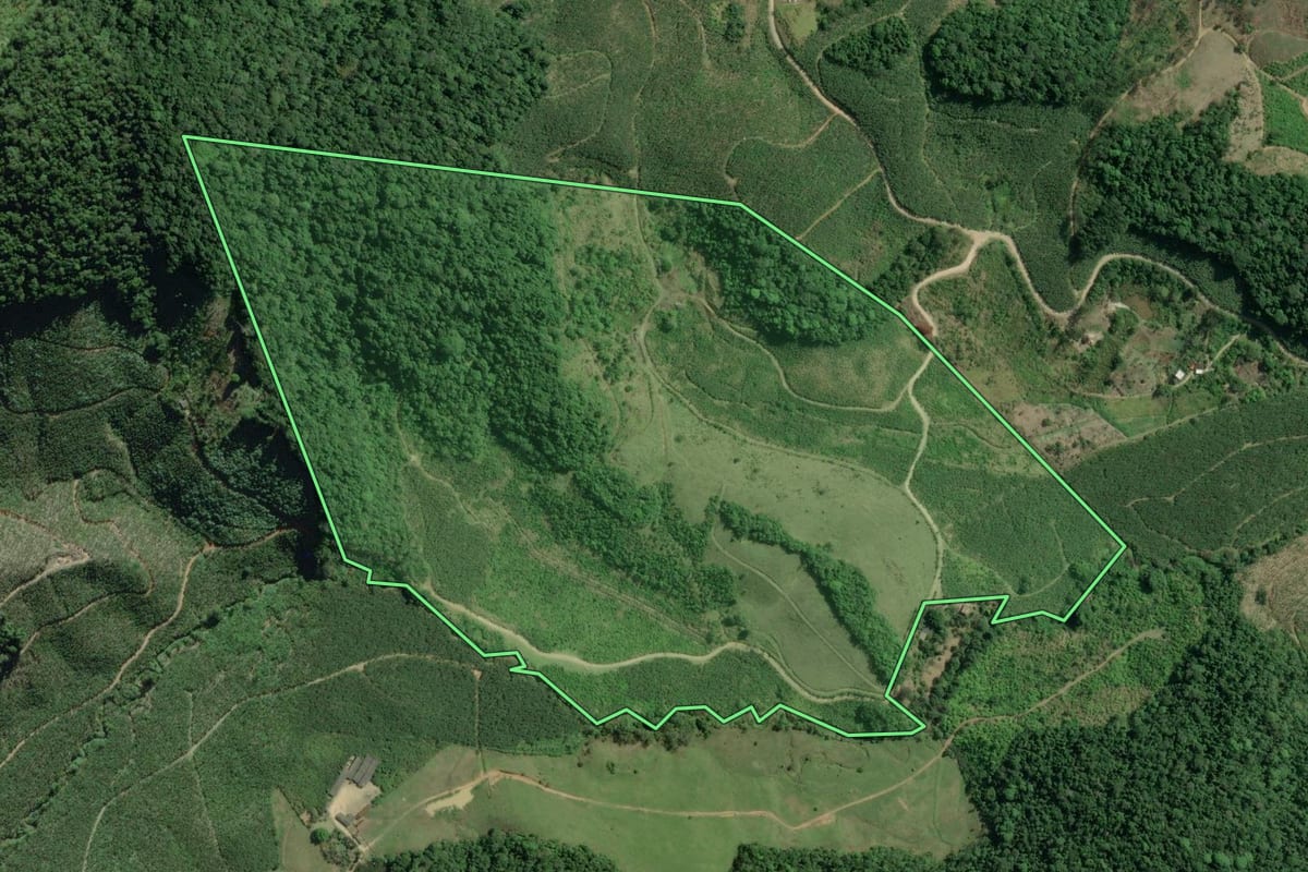 Imagem de satélite do imóvel rural em Eldorado (SP), com o contorno declarado no CAR desenhado por cima.
