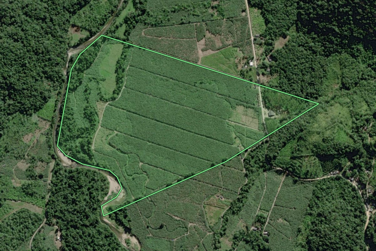 Imagem de satélite do imóvel rural em Eldorado (SP), com o contorno declarado no CAR desenhado por cima.