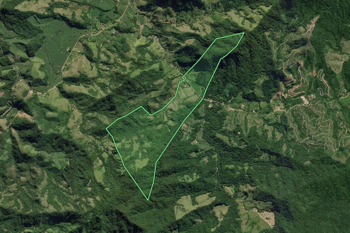 Imagem de satélite do imóvel rural em Eldorado (SP), com o contorno declarado no CAR desenhado por cima.