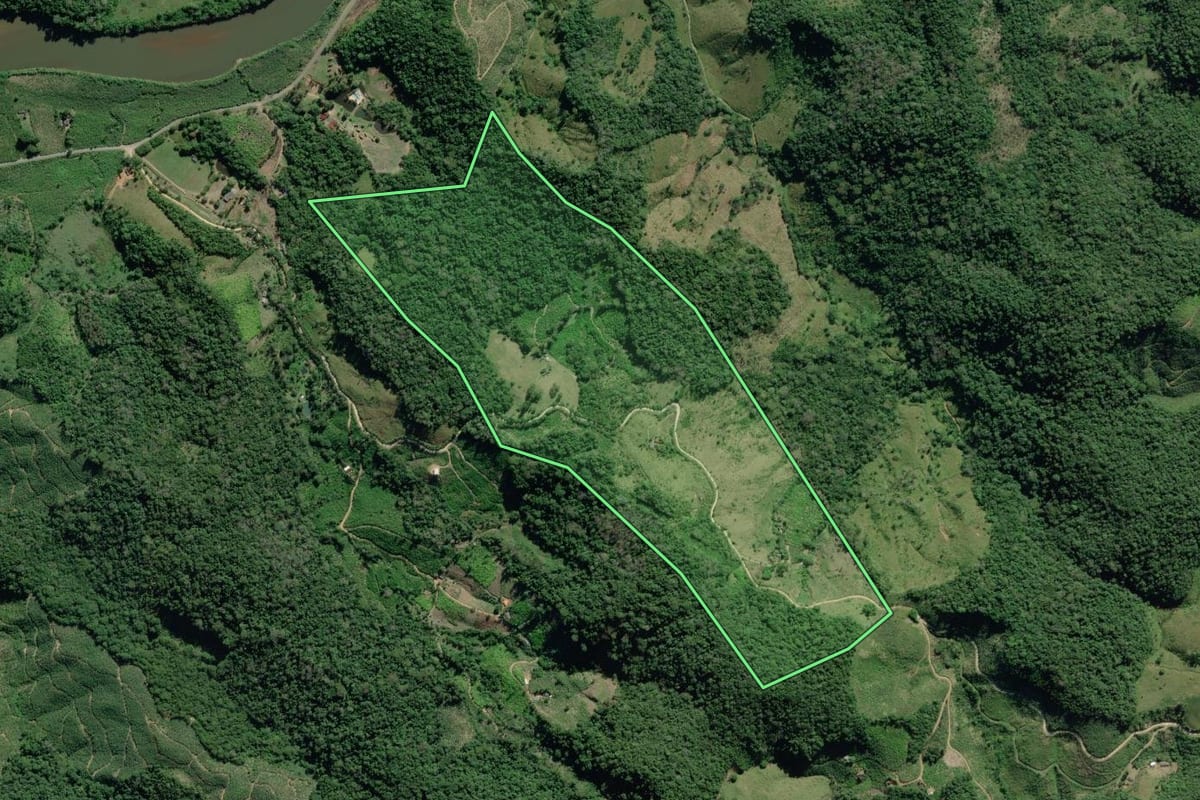 Imagem de satélite do imóvel rural em Eldorado (SP), com o contorno declarado no CAR desenhado por cima.