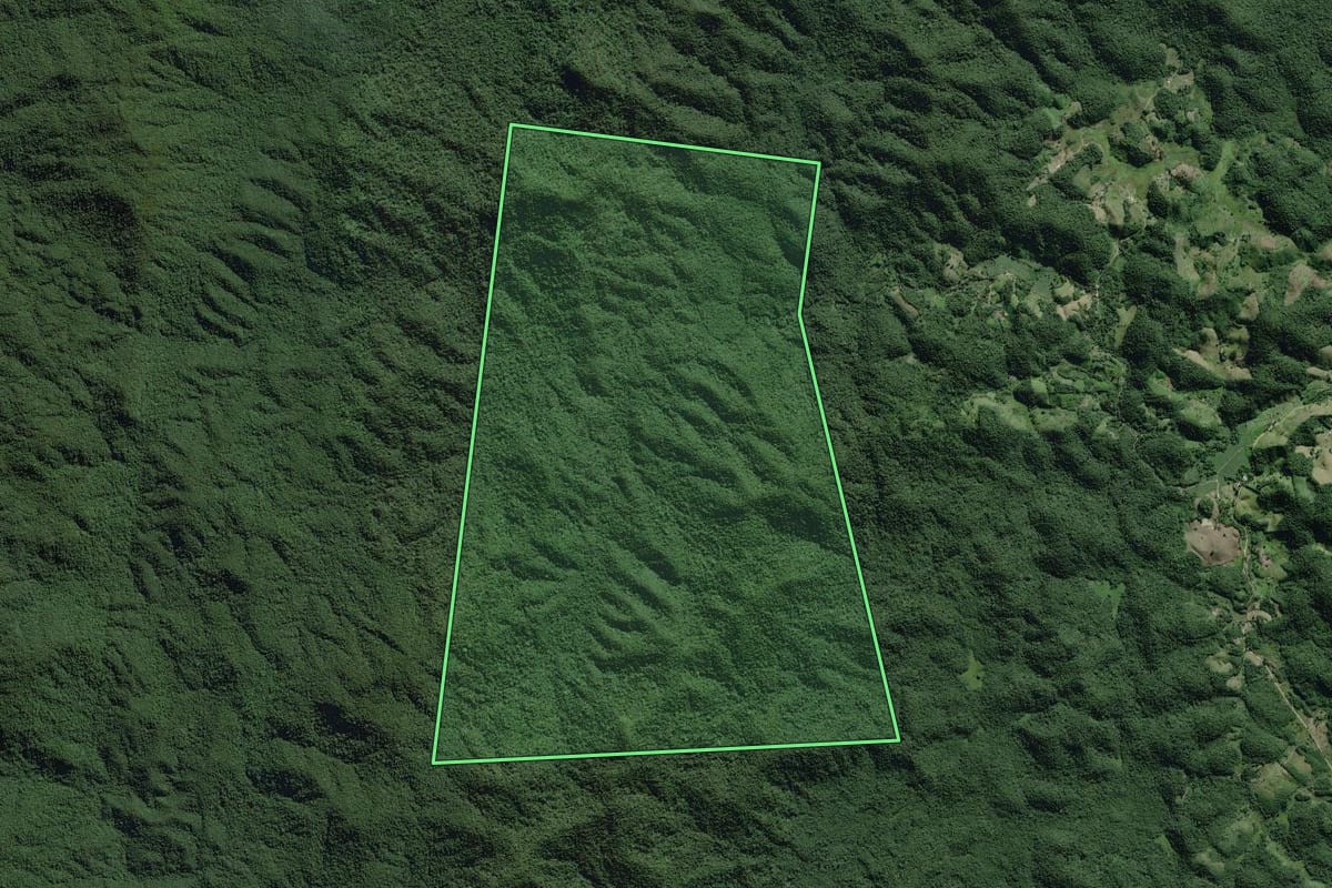 Imagem de satélite do imóvel rural em Eldorado (SP), com o contorno declarado no CAR desenhado por cima.