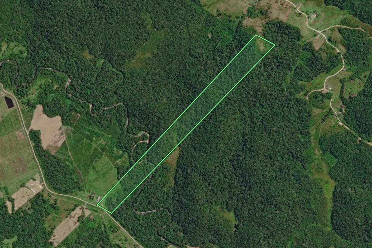 Imagem de satélite do imóvel rural em Eldorado (SP), com o contorno declarado no CAR desenhado por cima.