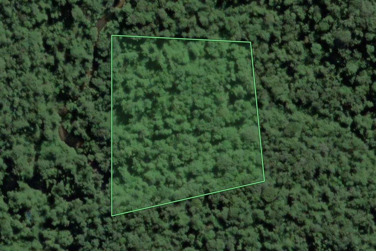 Imagem de satélite do imóvel rural em Eldorado (SP), com o contorno declarado no CAR desenhado por cima.