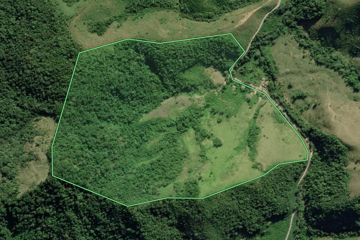 Imagem de satélite do imóvel rural em Eldorado (SP), com o contorno declarado no CAR desenhado por cima.
