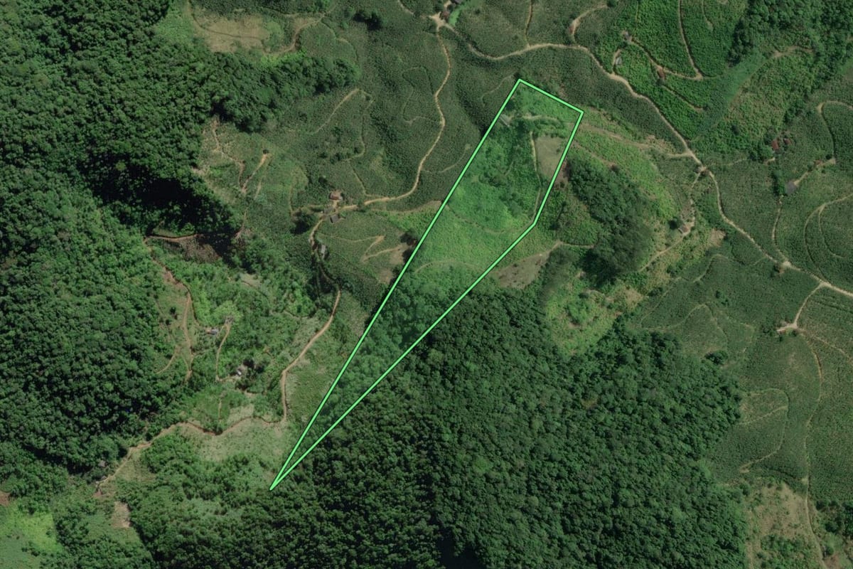 Imagem de satélite do imóvel rural em Eldorado (SP), com o contorno declarado no CAR desenhado por cima.