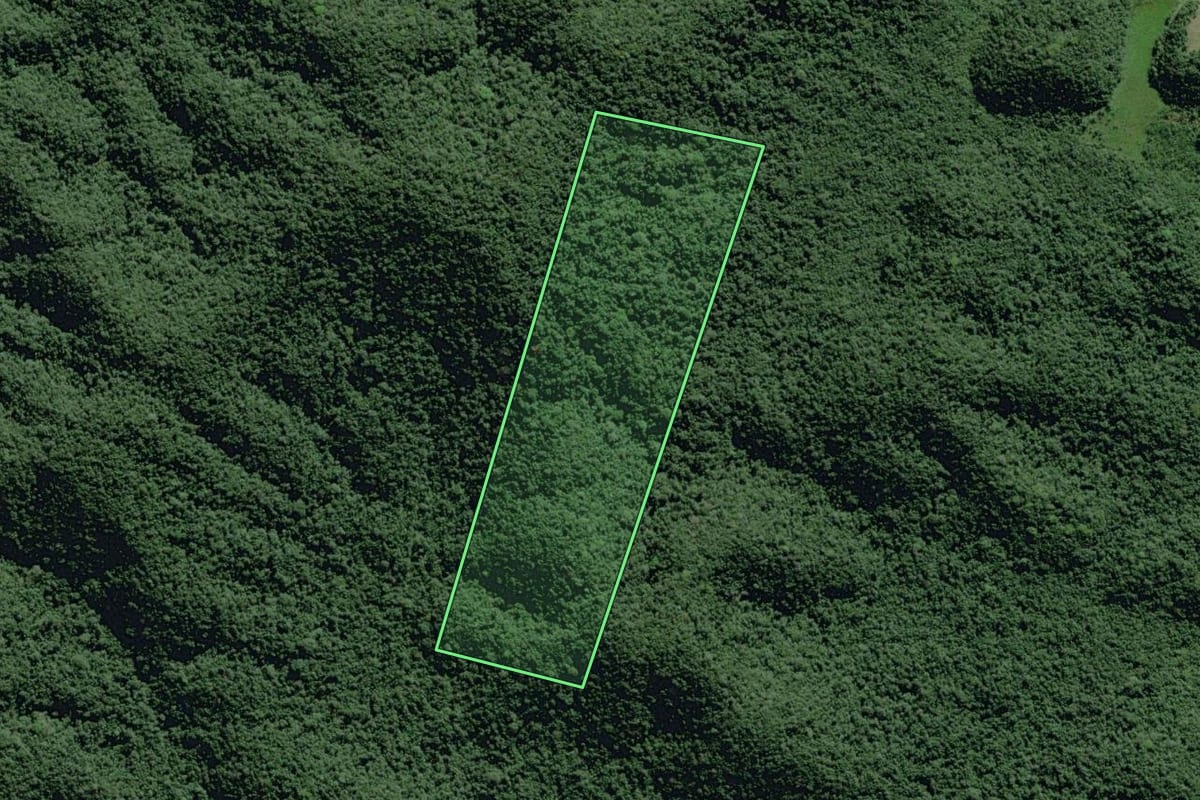 Imagem de satélite do imóvel rural em Eldorado (SP), com o contorno declarado no CAR desenhado por cima.