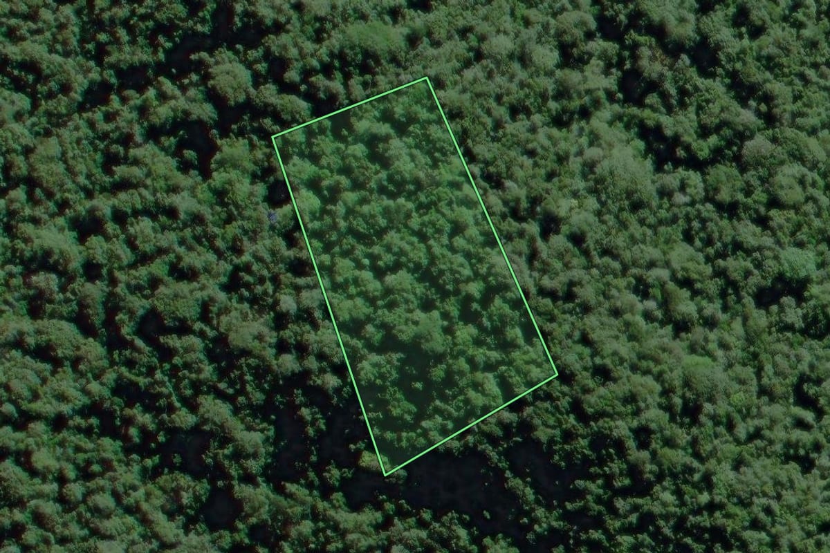 Imagem de satélite do imóvel rural em Eldorado (SP), com o contorno declarado no CAR desenhado por cima.