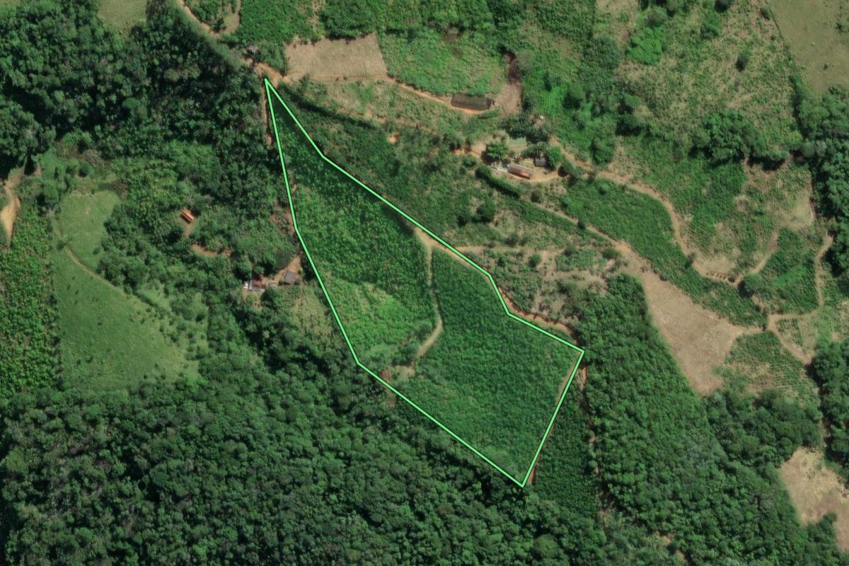 Imagem de satélite do imóvel rural em Eldorado (SP), com o contorno declarado no CAR desenhado por cima.