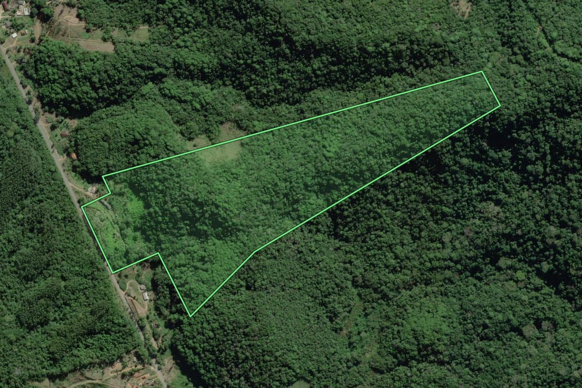 Imagem de satélite do imóvel rural em Eldorado (SP), com o contorno declarado no CAR desenhado por cima.