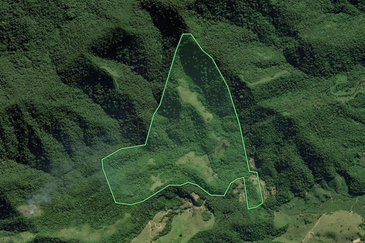 Imagem de satélite do imóvel rural em Eldorado (SP), com o contorno declarado no CAR desenhado por cima.