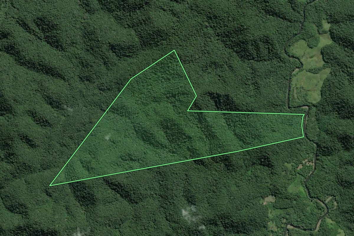 Imagem de satélite do imóvel rural em Eldorado (SP), com o contorno declarado no CAR desenhado por cima.