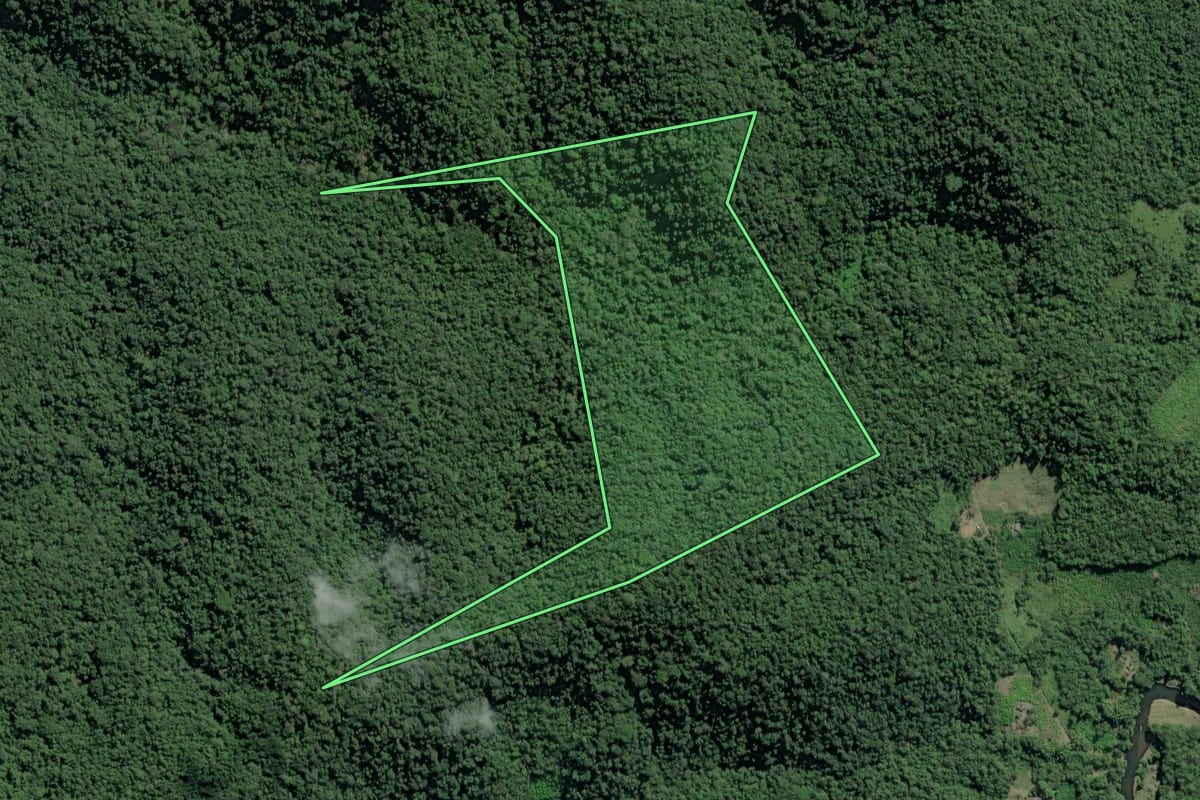 Imagem de satélite do imóvel rural em Eldorado (SP), com o contorno declarado no CAR desenhado por cima.