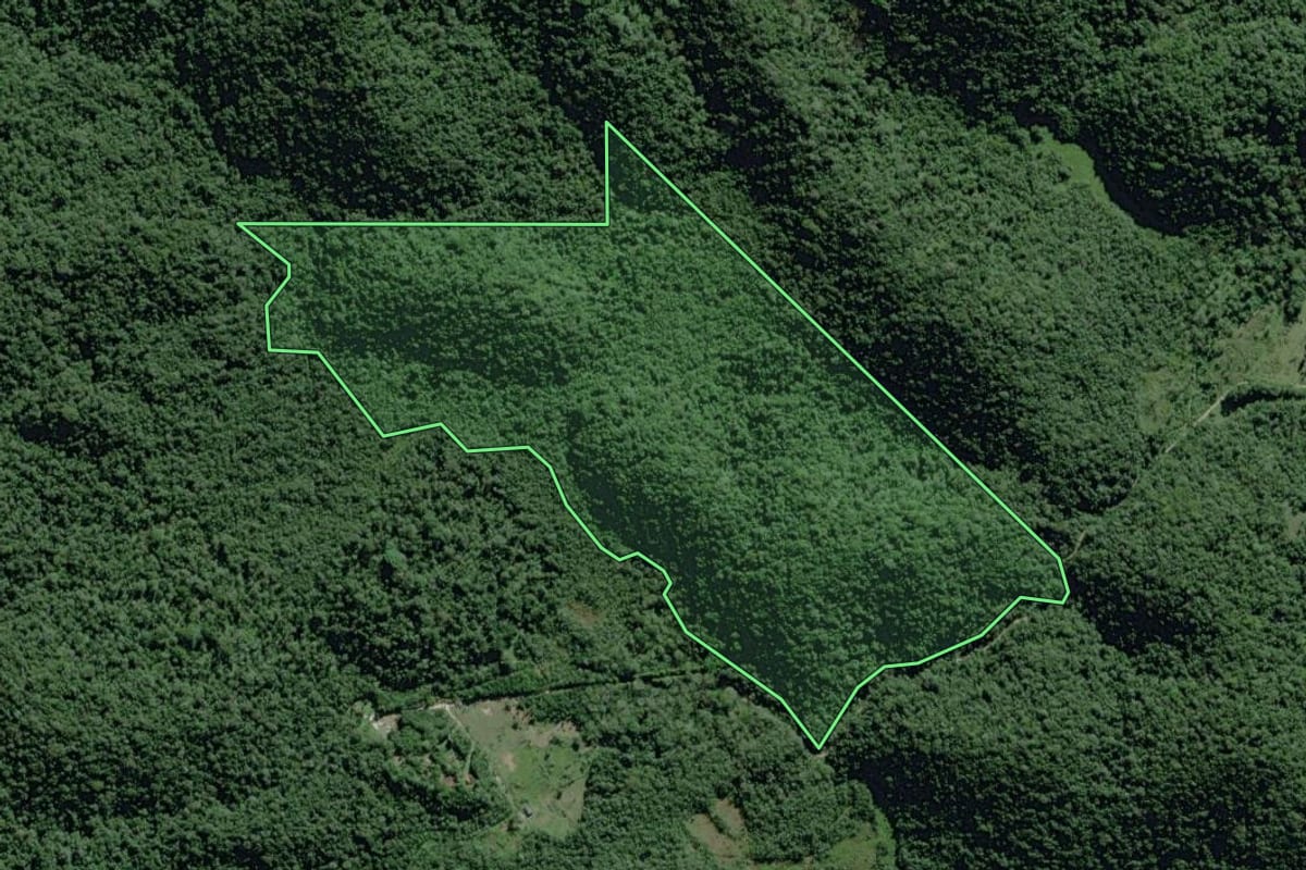 Imagem de satélite do imóvel rural em Eldorado (SP), com o contorno declarado no CAR desenhado por cima.