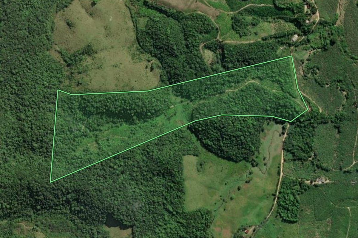 Imagem de satélite do imóvel rural em Eldorado (SP), com o contorno declarado no CAR desenhado por cima.