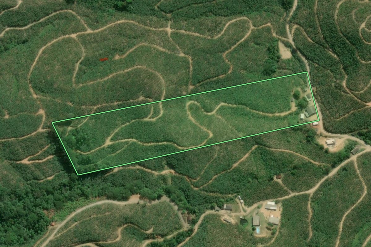 Imagem de satélite do imóvel rural em Eldorado (SP), com o contorno declarado no CAR desenhado por cima.