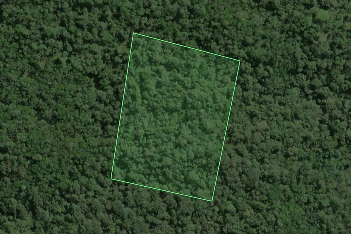 Imagem de satélite do imóvel rural em Eldorado (SP), com o contorno declarado no CAR desenhado por cima.