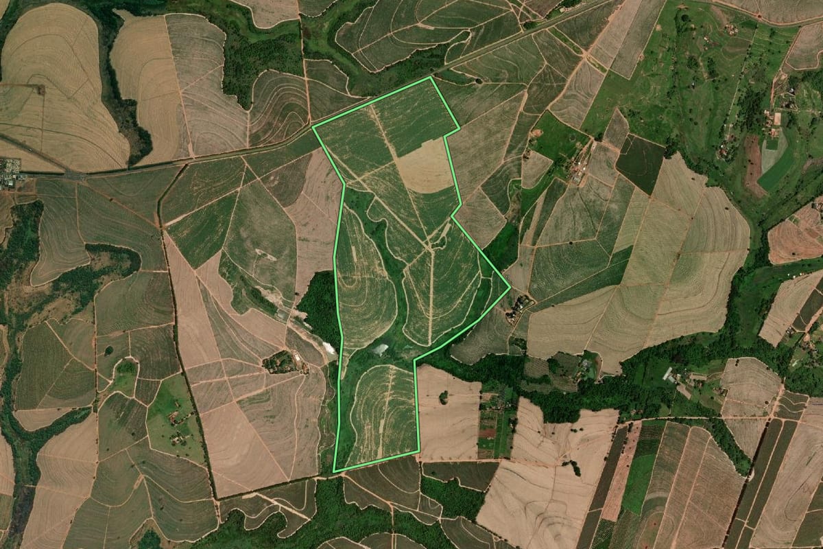 Imagem de satélite do imóvel rural em Elisiário (SP), com o contorno declarado no CAR desenhado por cima.