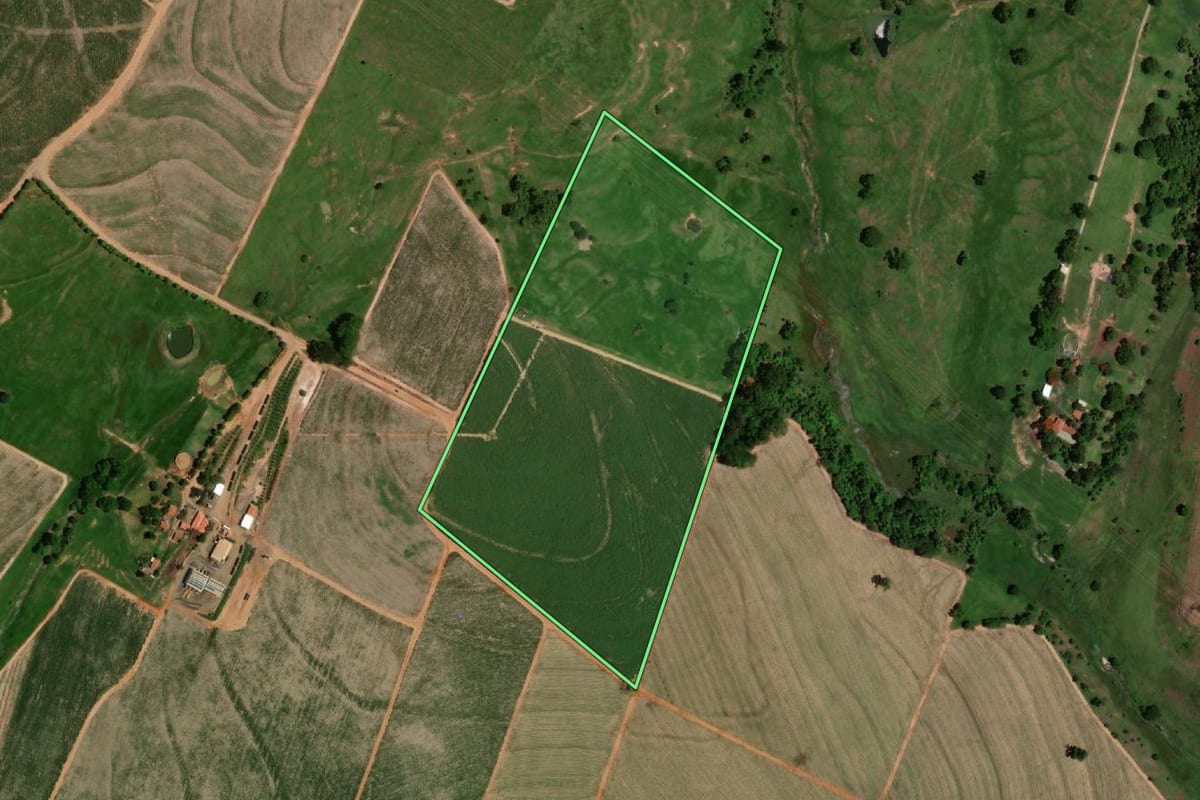 Imagem de satélite do imóvel rural em Elisiário (SP), com o contorno declarado no CAR desenhado por cima.