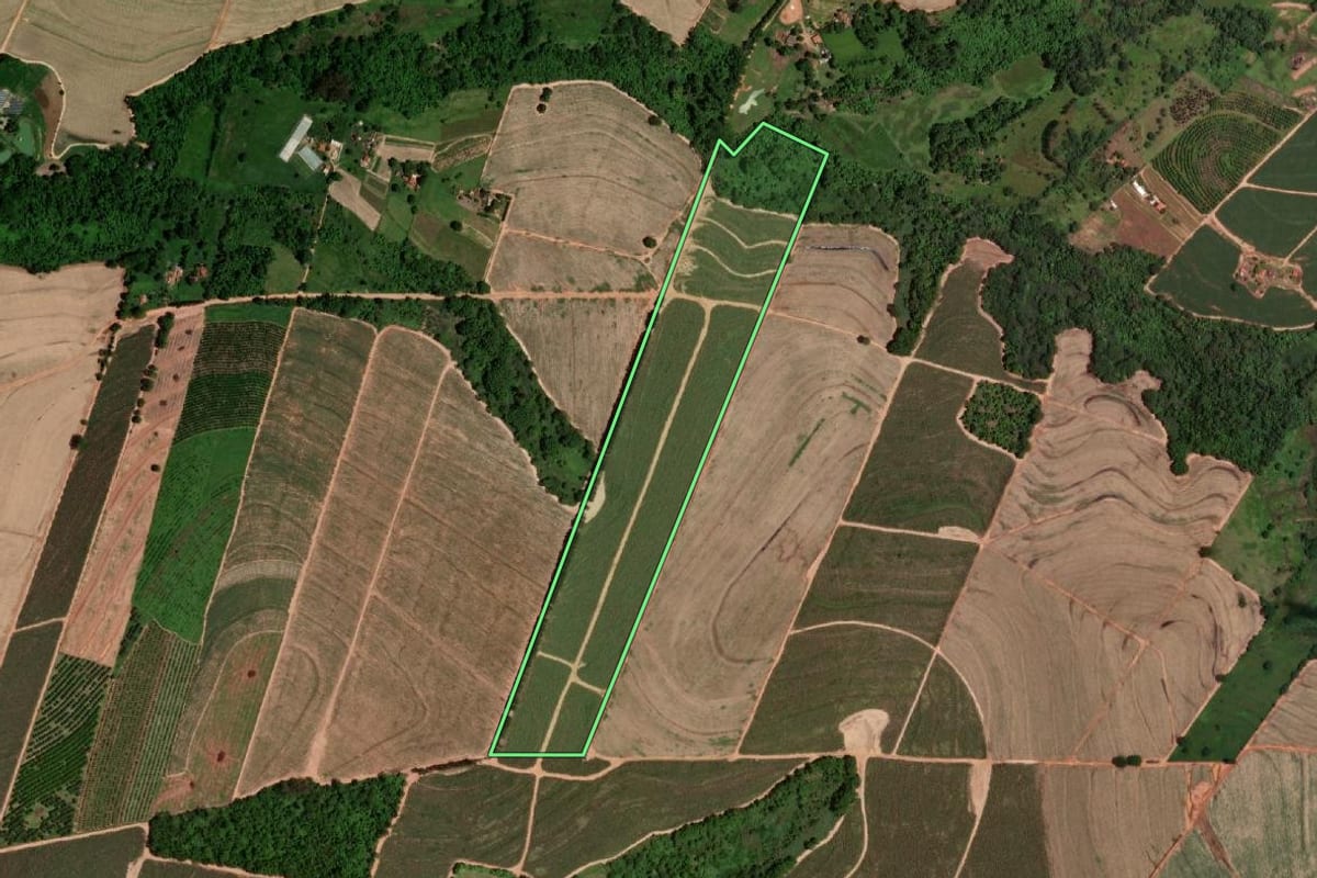 Imagem de satélite do imóvel rural em Elisiário (SP), com o contorno declarado no CAR desenhado por cima.
