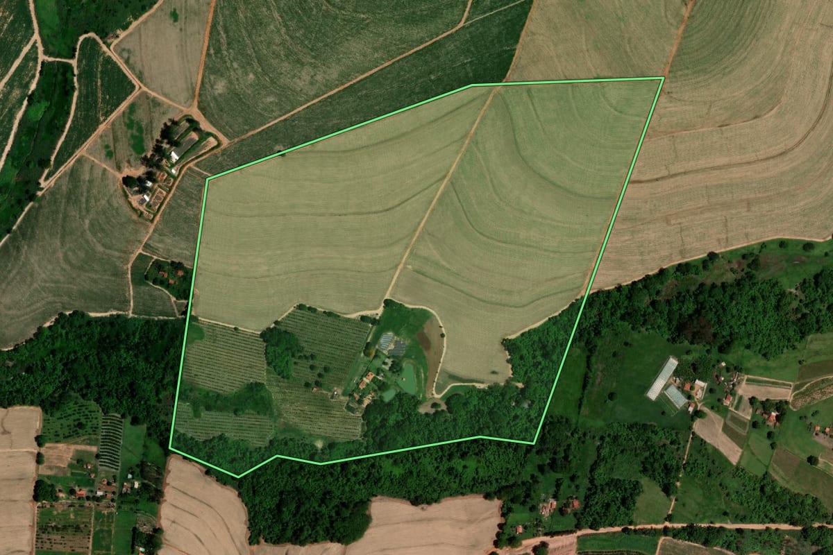 Imagem de satélite do imóvel rural em Elisiário (SP), com o contorno declarado no CAR desenhado por cima.