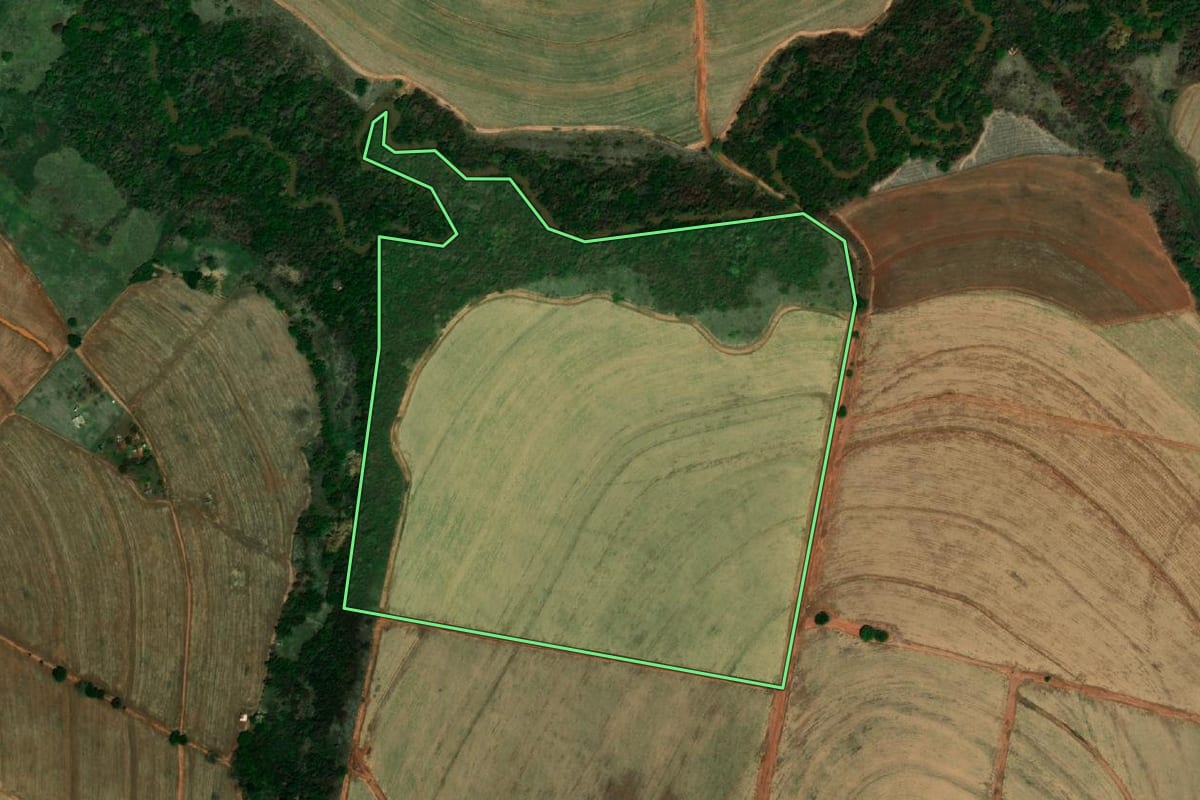 Imagem de satélite do imóvel rural em Embaúba (SP), com o contorno declarado no CAR desenhado por cima.
