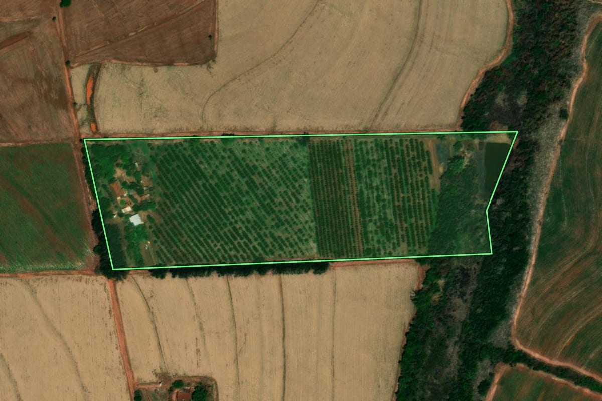 Imagem de satélite do imóvel rural em Embaúba (SP), com o contorno declarado no CAR desenhado por cima.