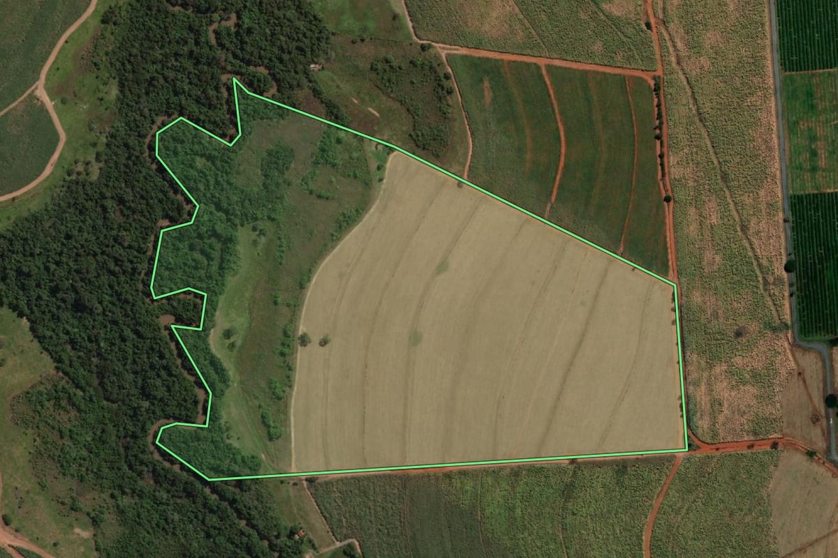 Imagem de satélite do imóvel rural em Embaúba (SP), com o contorno declarado no CAR desenhado por cima.