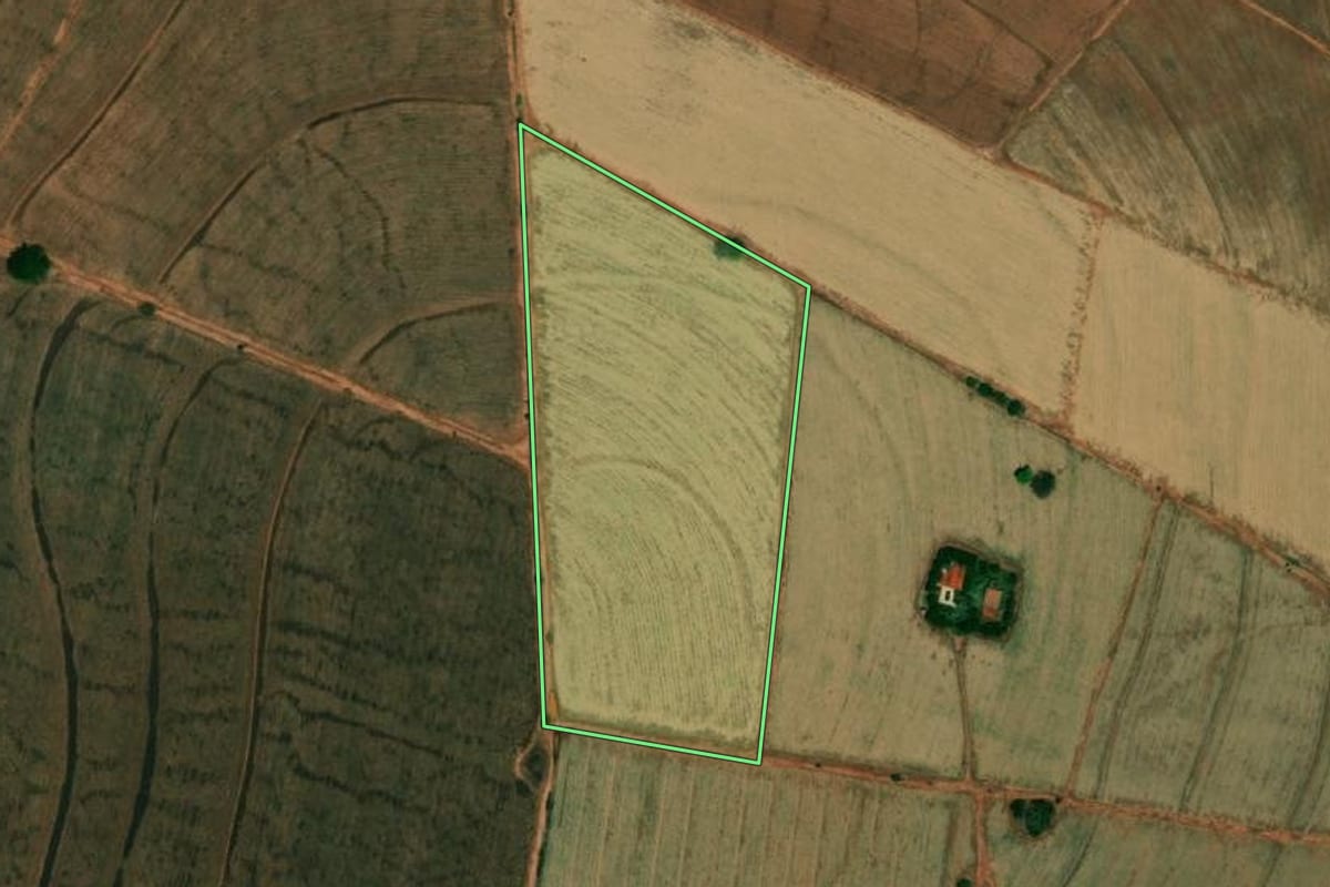 Imagem de satélite do imóvel rural em Embaúba (SP), com o contorno declarado no CAR desenhado por cima.