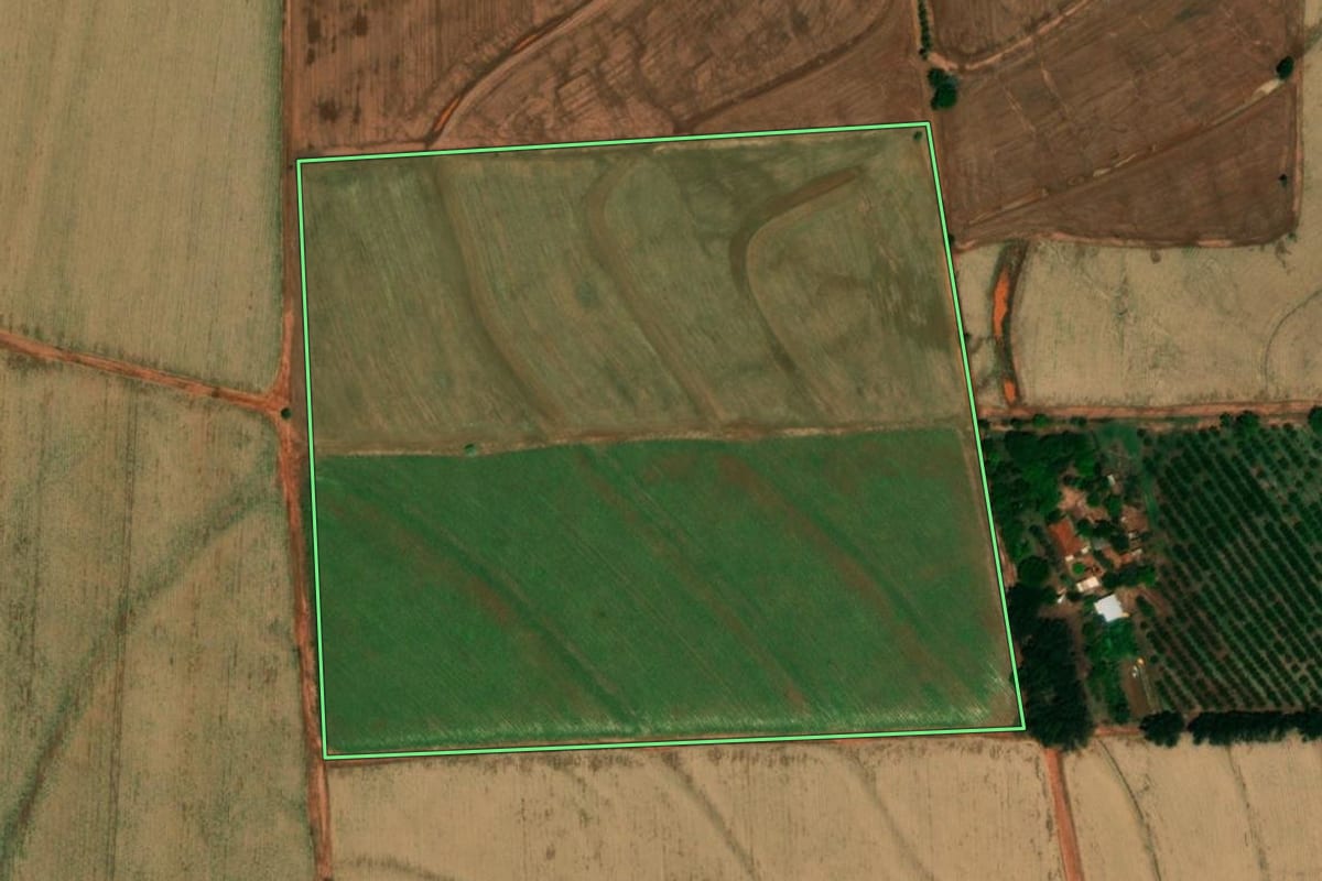 Imagem de satélite do imóvel rural em Embaúba (SP), com o contorno declarado no CAR desenhado por cima.