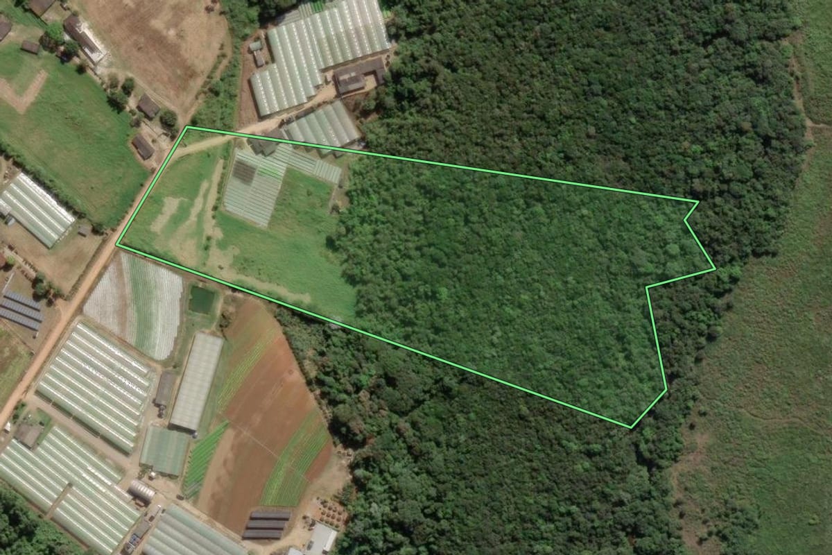 Imagem de satélite do imóvel rural em Embu-Guaçu (SP), com o contorno declarado no CAR desenhado por cima.