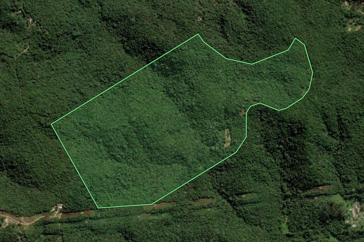 Imagem de satélite do imóvel rural em Embu-Guaçu (SP), com o contorno declarado no CAR desenhado por cima.
