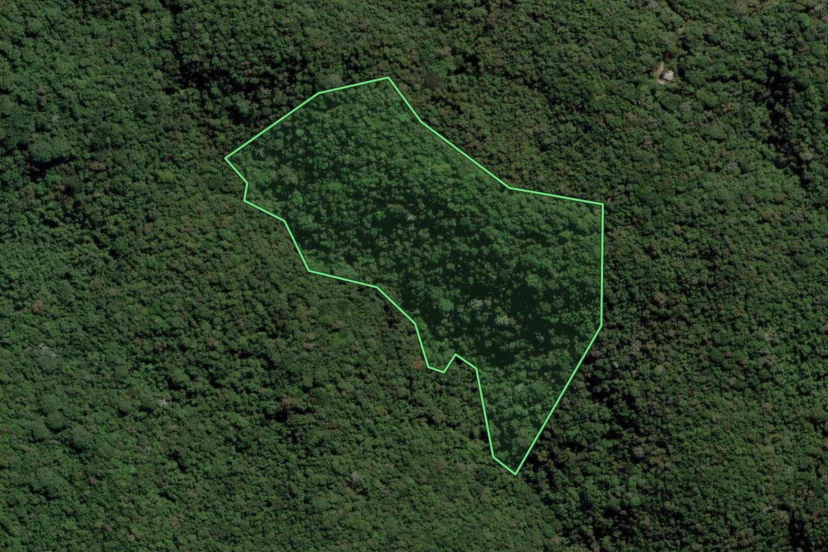 Imagem de satélite do imóvel rural em Embu-Guaçu (SP), com o contorno declarado no CAR desenhado por cima.
