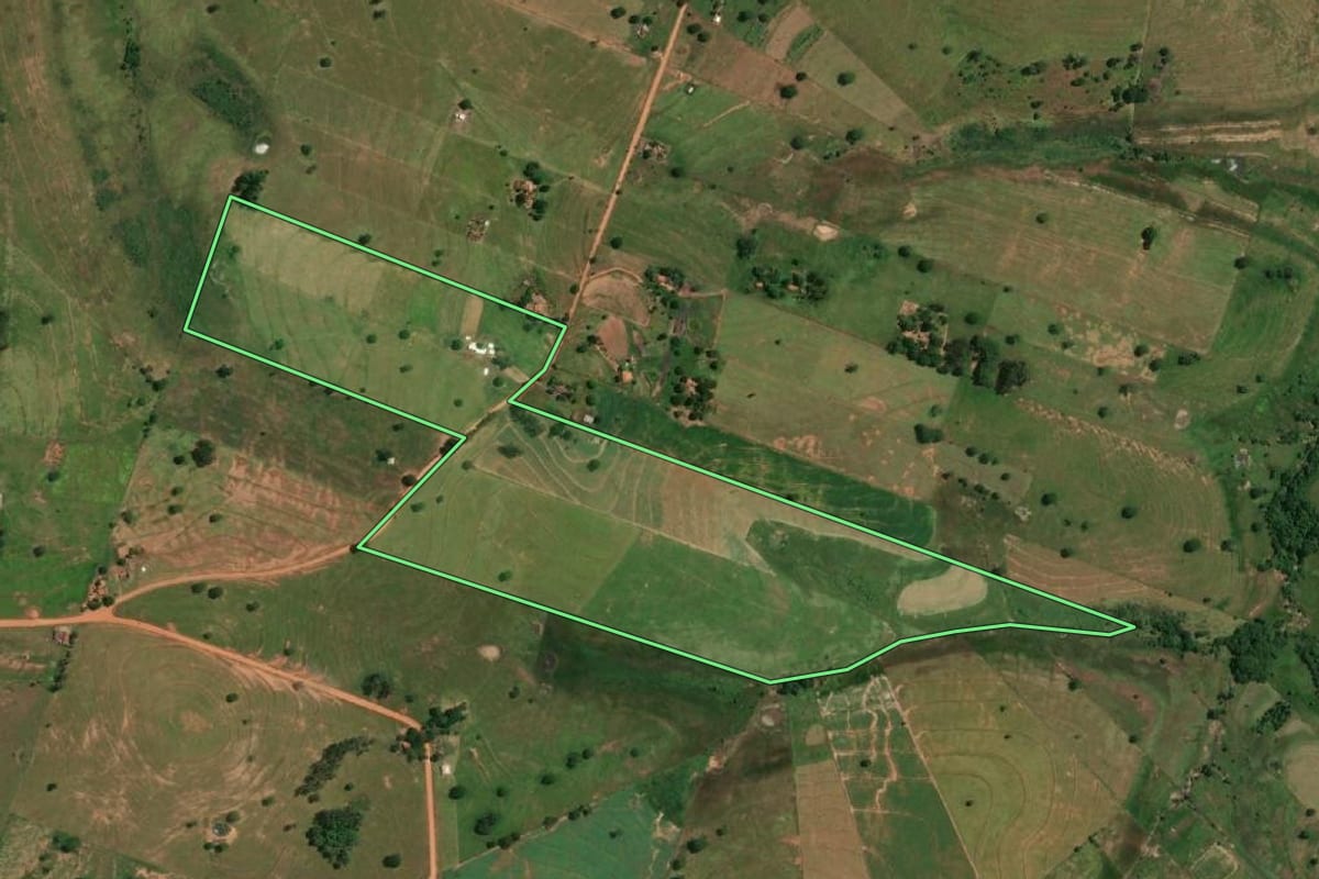 Imagem de satélite do imóvel rural em Emilianópolis (SP), com o contorno declarado no CAR desenhado por cima.