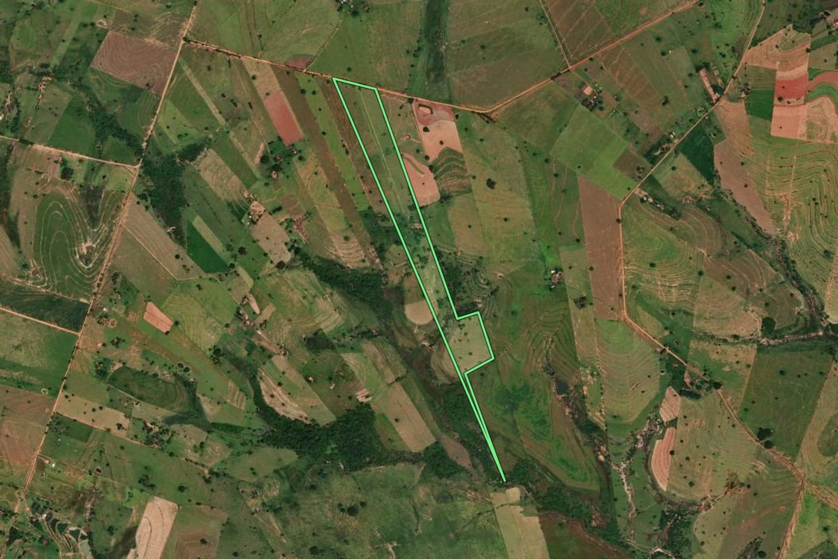 Imagem de satélite do imóvel rural em Emilianópolis (SP), com o contorno declarado no CAR desenhado por cima.