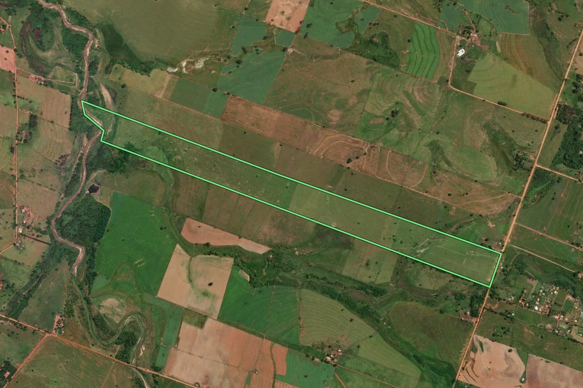 Imagem de satélite do imóvel rural em Emilianópolis (SP), com o contorno declarado no CAR desenhado por cima.