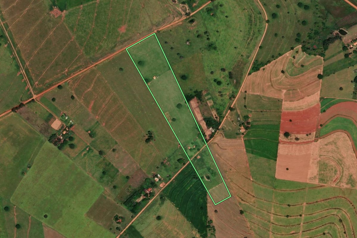 Imagem de satélite do imóvel rural em Emilianópolis (SP), com o contorno declarado no CAR desenhado por cima.