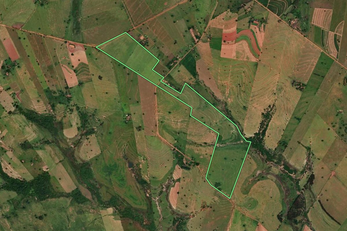 Imagem de satélite do imóvel rural em Emilianópolis (SP), com o contorno declarado no CAR desenhado por cima.