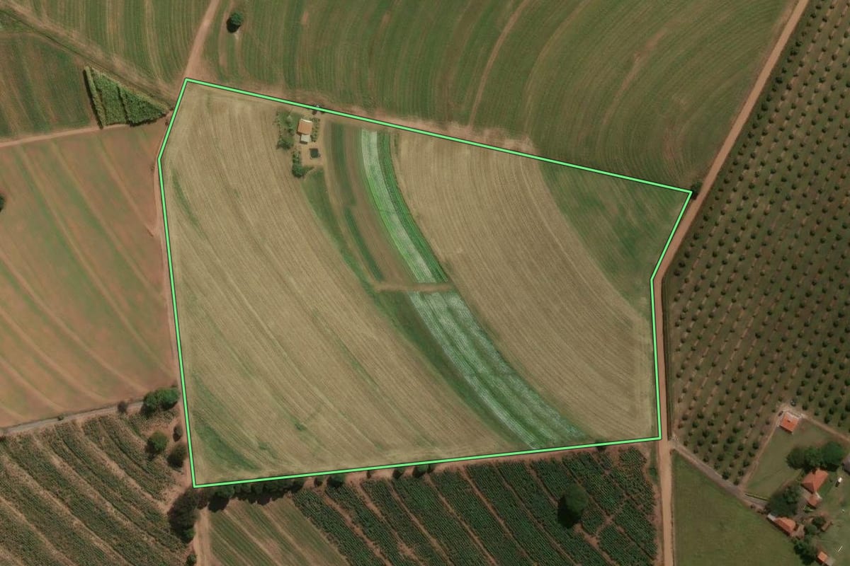 Imagem de satélite do imóvel rural em Engenheiro Coelho (SP), com o contorno declarado no CAR desenhado por cima.