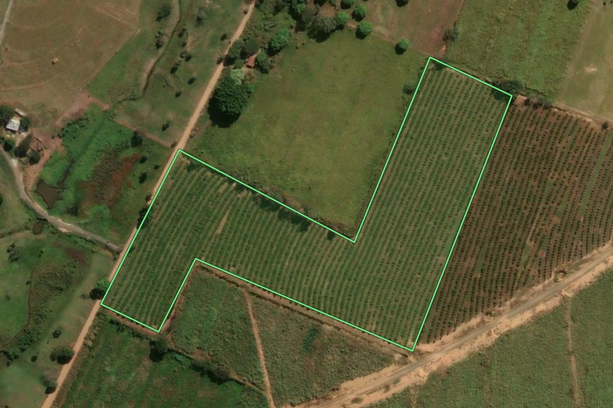 Imagem de satélite do imóvel rural em Engenheiro Coelho (SP), com o contorno declarado no CAR desenhado por cima.