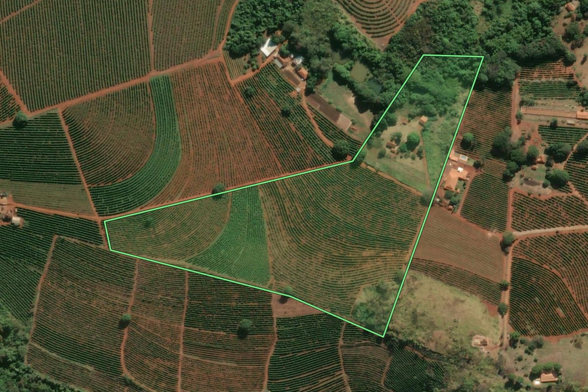 Imagem de satélite do imóvel rural em Espírito Santo do Pinhal (SP), com o contorno declarado no CAR desenhado por cima.