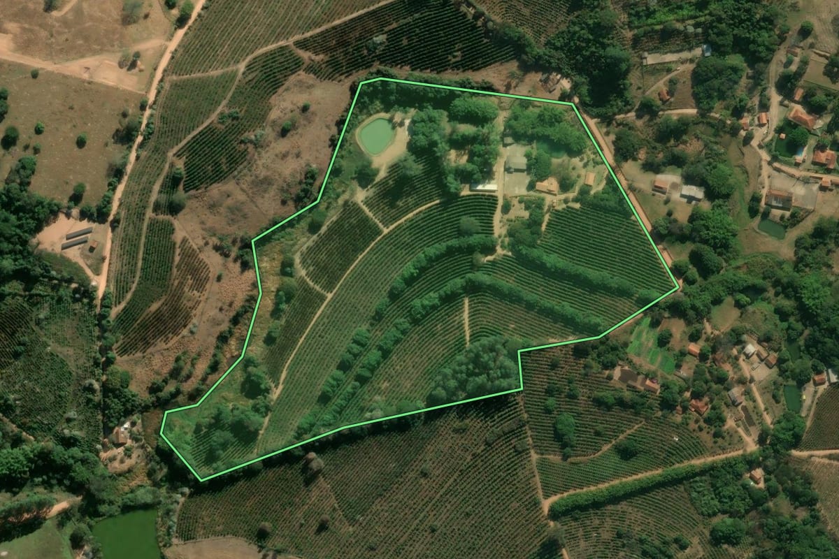 Imagem de satélite do imóvel rural em Espírito Santo do Pinhal (SP), com o contorno declarado no CAR desenhado por cima.