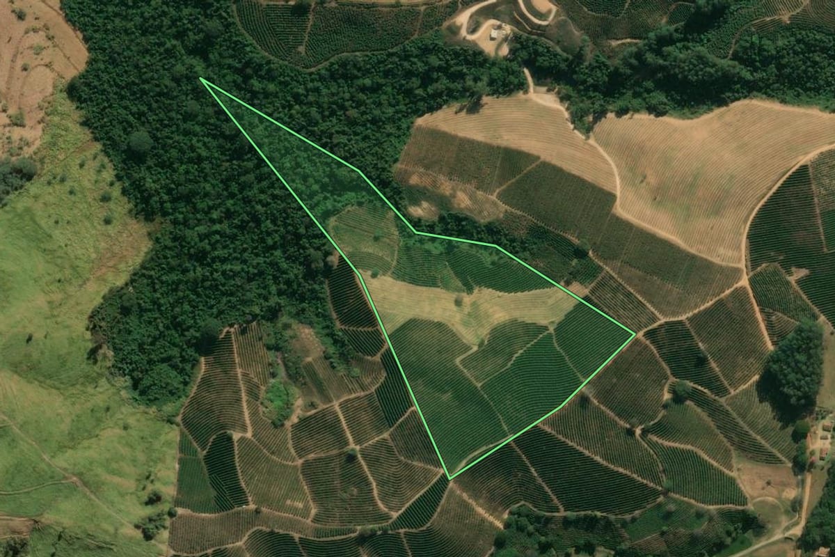 Imagem de satélite do imóvel rural em Espírito Santo do Pinhal (SP), com o contorno declarado no CAR desenhado por cima.