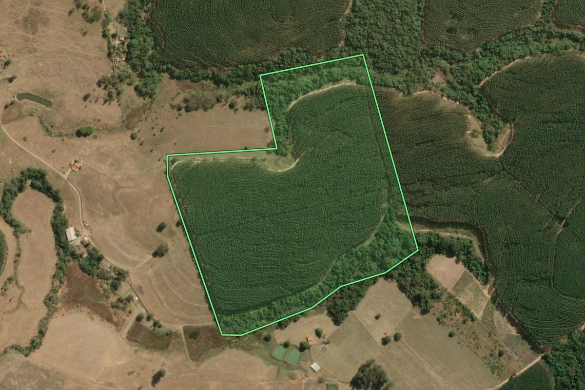 Imagem de satélite do imóvel rural em Espírito Santo do Pinhal (SP), com o contorno declarado no CAR desenhado por cima.
