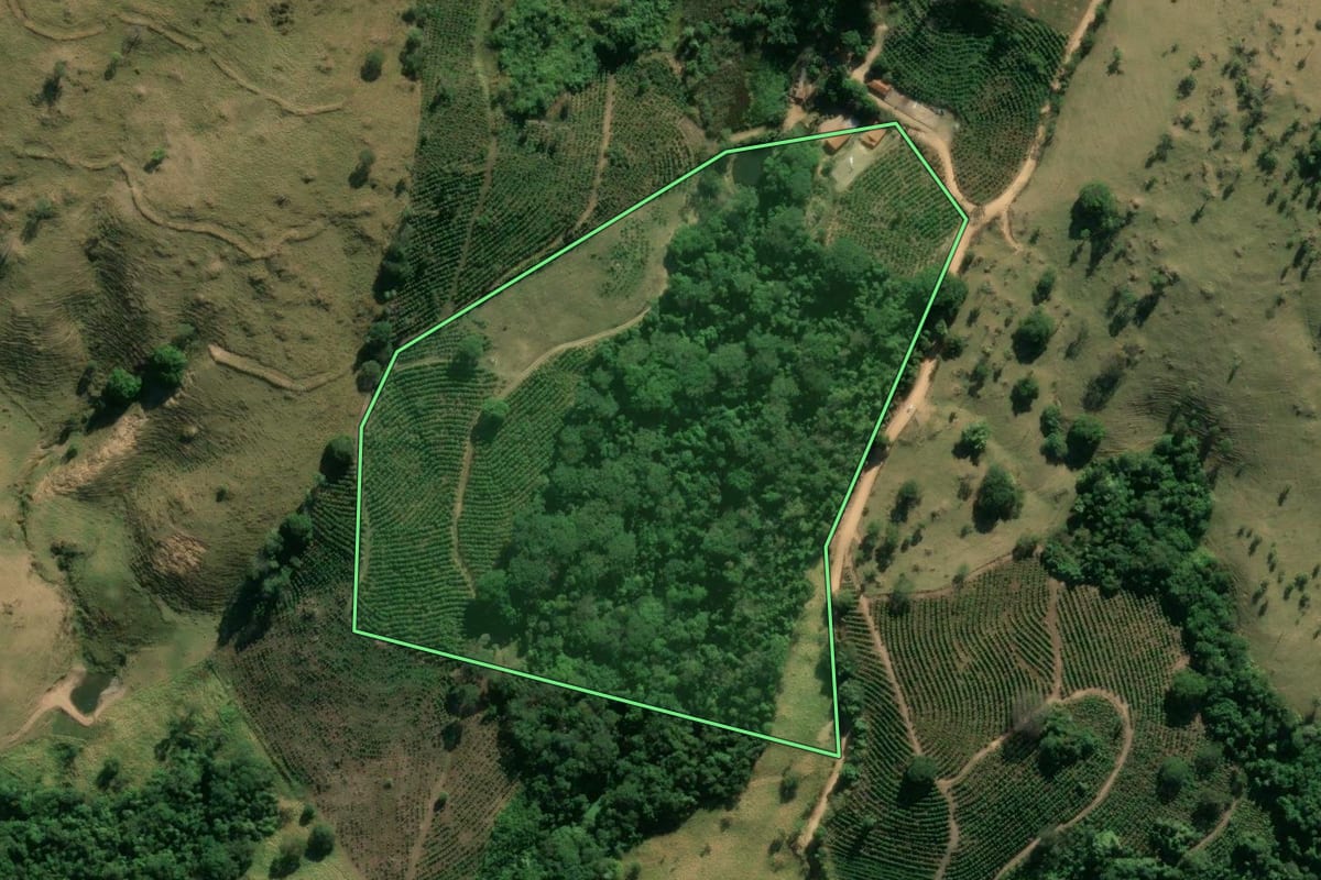 Imagem de satélite do imóvel rural em Espírito Santo do Pinhal (SP), com o contorno declarado no CAR desenhado por cima.