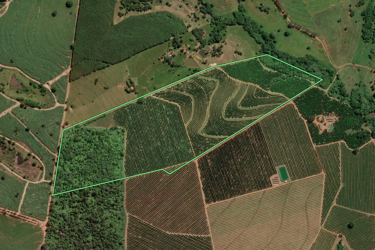 Imagem de satélite do imóvel rural em Estrela d'Oeste (SP), com o contorno declarado no CAR desenhado por cima.