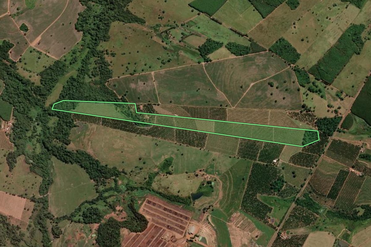 Imagem de satélite do imóvel rural em Estrela d'Oeste (SP), com o contorno declarado no CAR desenhado por cima.